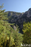 Gorges du Verdon