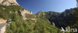 Gorges du Verdon