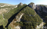 Gorges du Verdon