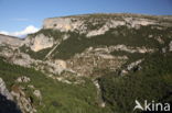 Gorges du Verdon