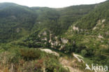 Château de Castelbouc