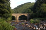 Parc national des Cévennes