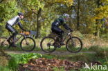 Nationaal Park Dwingelderveld