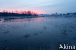 National Park Dwingelderveld