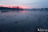 Nationaal Park Dwingelderveld