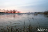 Nationaal Park Dwingelderveld