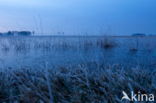 Nationaal Park Dwingelderveld