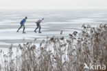 National Park Weerribben-Wieden