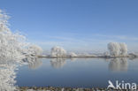 IJssel