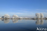 IJssel