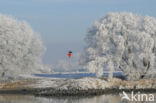 IJssel