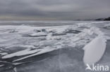 ice floe