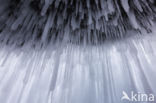ice