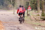 Nationaal Park Dwingelderveld