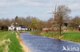 ditch