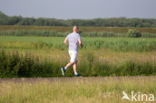 Nationaal park Schiermonnikoog