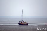 National Park Schiermonnikoog