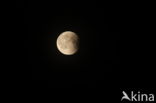 lunar eclipse