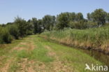 Borderpark Kempen-Broek