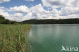 Lac de Narlay