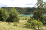 Lac de Narlay