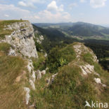Longevilles-Mont-d Or