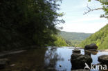 Cascades du Hérisson