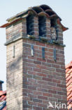 Tawny Owl (Strix aluco)