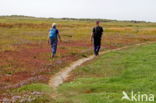 National Park Schiermonnikoog