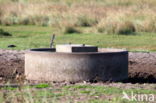 National Park Schiermonnikoog