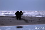 National Park Schiermonnikoog