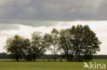 Nationaal Park Dwingelderveld