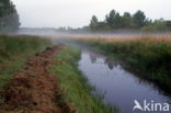 Beekdal Oude Diep Het Drentse Landschap