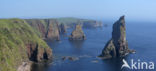 Duncansby Head