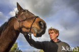 Belgisch Warmbloedpaard (Equus ferus caballus)