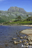 Loch Maree