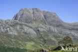 Loch Maree