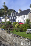 Plockton