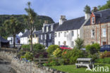 Plockton