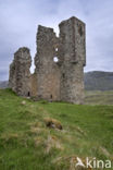 Ardvreck Castle