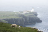 Neist Point Lighthouse