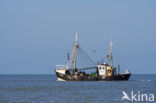 Noordzee