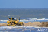 Noordzee