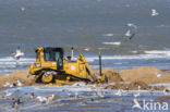 Noordzee