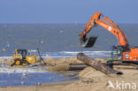 Noordzee