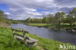 Spey river