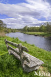 Spey river