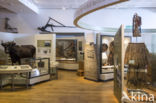 Shetland Museum & Archives