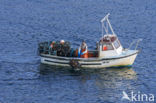 Shetland Islands