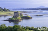 Castle Stalker